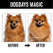 DOGDAYS Moisturizing Dog Conditioner - - by PRIDE+GROOM