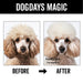 DOGDAYS Hydrating Dog Shampoo - - by PRIDE+GROOM