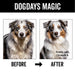 DOGDAYS De-Shedding Dog Shampoo - - by PRIDE+GROOM