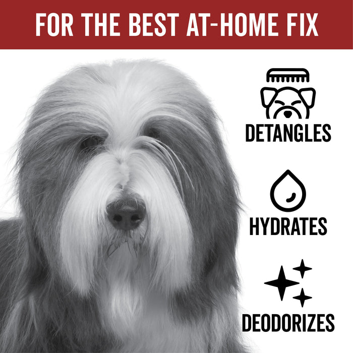 DOGDAYS Leave-In Detangling Spray - - by PRIDE+GROOM