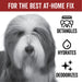 DOGDAYS Leave-In Detangling Spray - - by PRIDE+GROOM