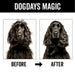 DOGDAYS Leave-In Detangling Spray - - by PRIDE+GROOM