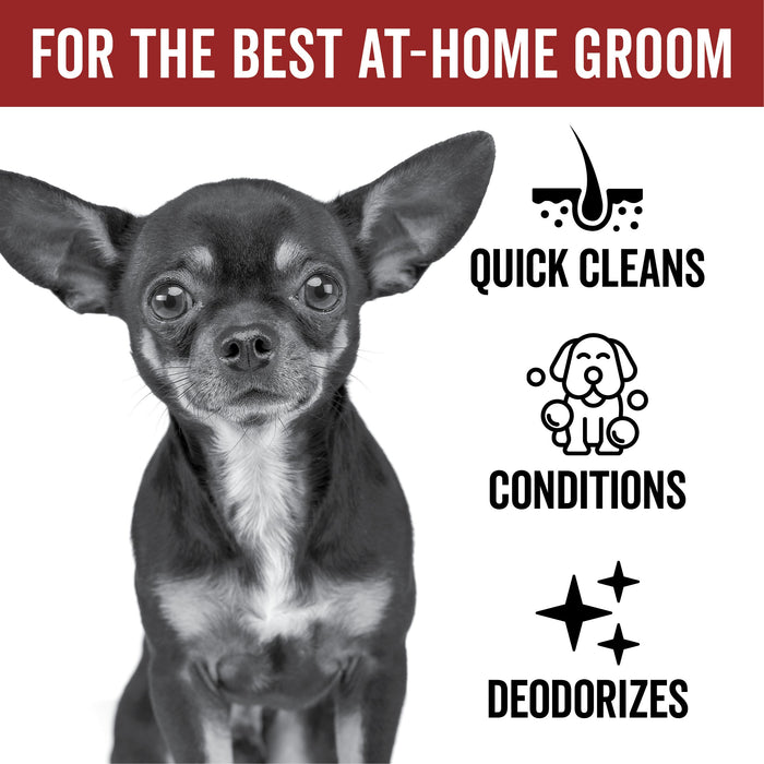 DOGDAYS Waterless Foaming Shampoo - - by PRIDE+GROOM