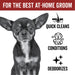 DOGDAYS Waterless Foaming Shampoo - - by PRIDE+GROOM