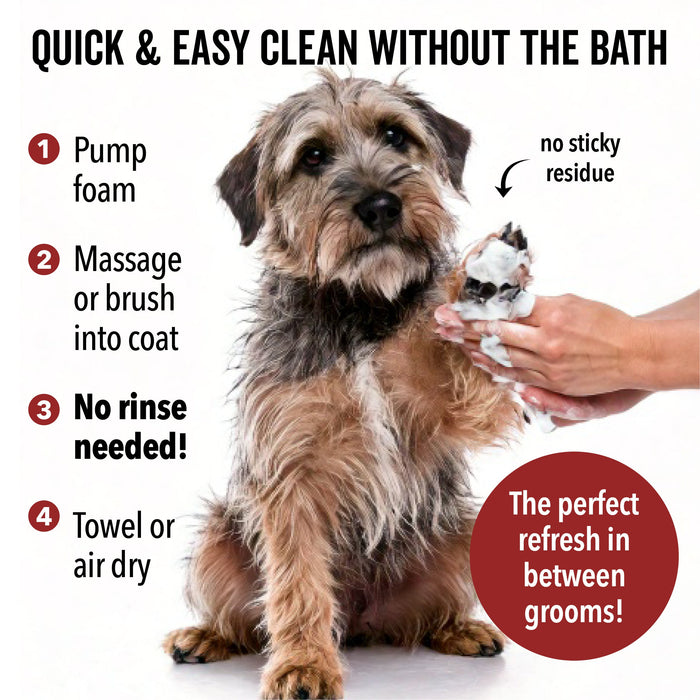 DOGDAYS Waterless Foaming Shampoo - - by PRIDE+GROOM
