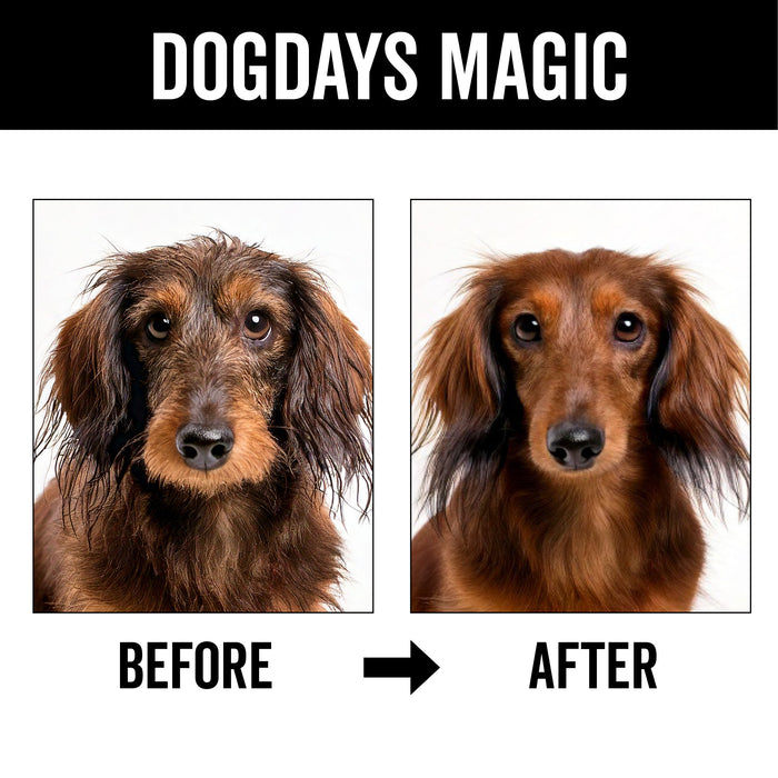 DOGDAYS Waterless Foaming Shampoo - - by PRIDE+GROOM