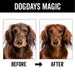 DOGDAYS Waterless Foaming Shampoo - - by PRIDE+GROOM