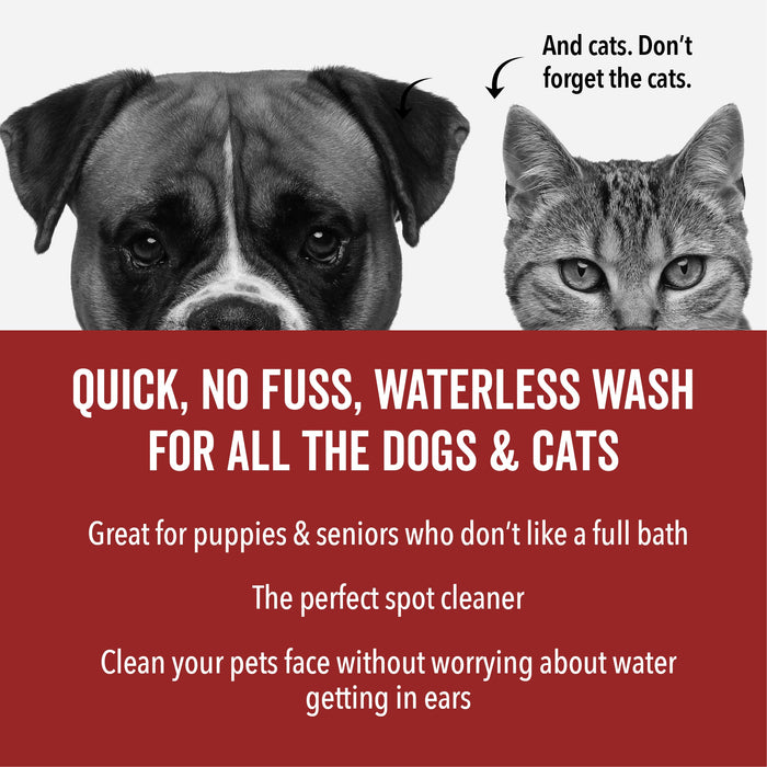 DOGDAYS Waterless Foaming Shampoo - - by PRIDE+GROOM