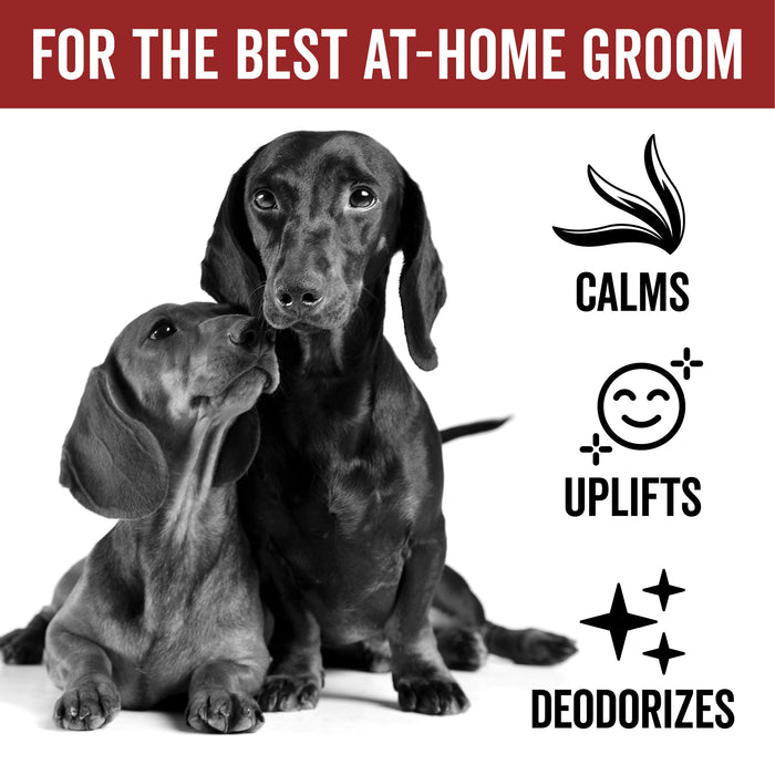 DOGDAYS Dog Deodorizing Spray - - by PRIDE+GROOM