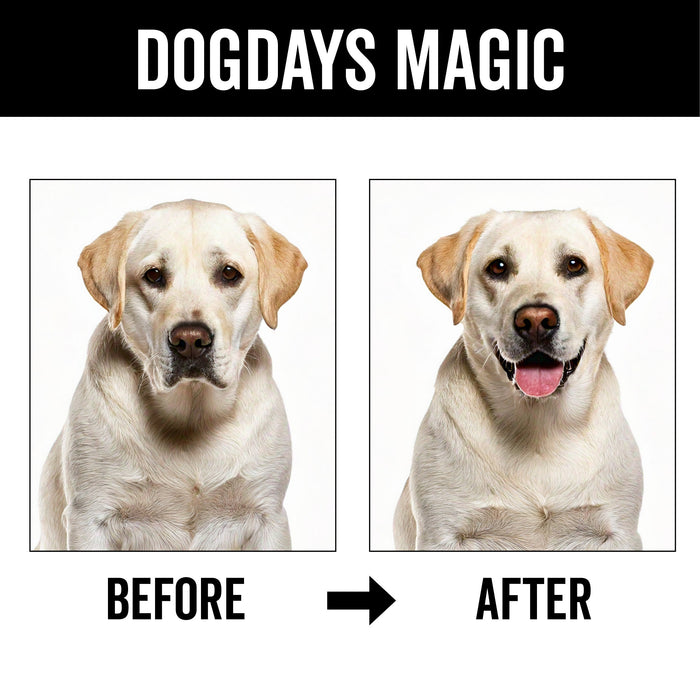 DOGDAYS Dog Deodorizing Spray - - by PRIDE+GROOM