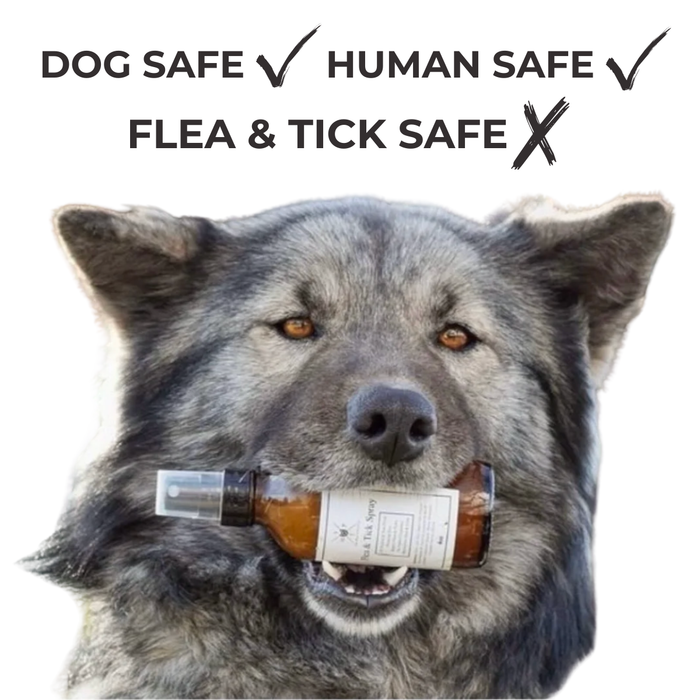 Flea & Tick Spray for Dogs - - by The Hoof & Paw Co.