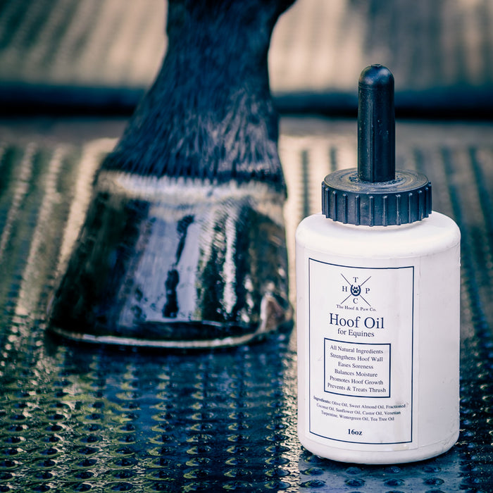 Hoof Oil for Horses - - by The Hoof & Paw Co.