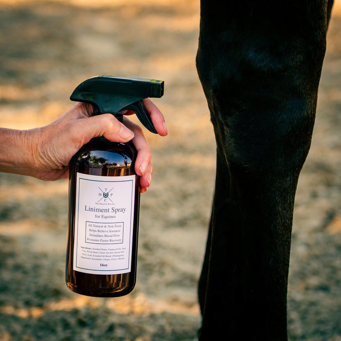 Liniment Spray for Horses - - by The Hoof & Paw Co.