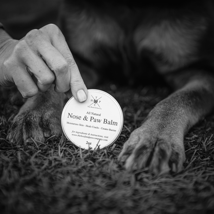Nose & Paw Balm for Dogs - 2oz - - by The Hoof & Paw Co.