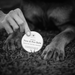 Nose & Paw Balm for Dogs - 2oz - - by The Hoof & Paw Co.