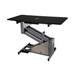 Groomer's Best Electric Grooming Table - Black - Grooming Tables by Groomer's Best