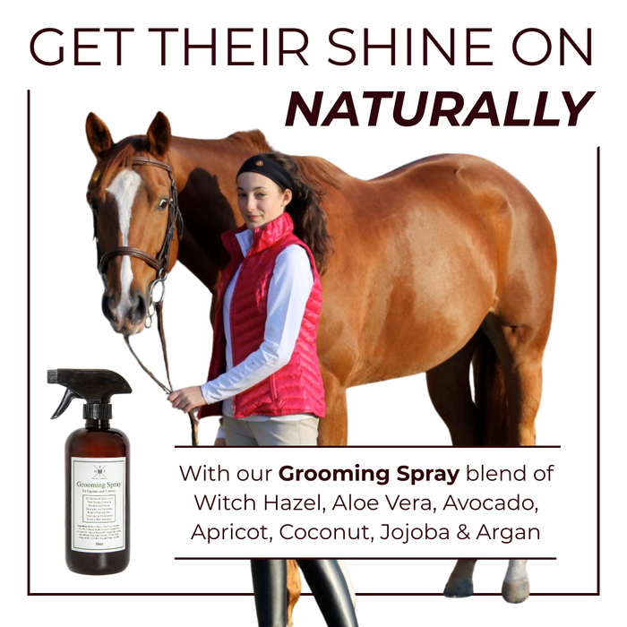 Grooming Spray - for Dogs & Horses - - by The Hoof & Paw Co.