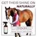 Grooming Spray - for Dogs & Horses - - by The Hoof & Paw Co.
