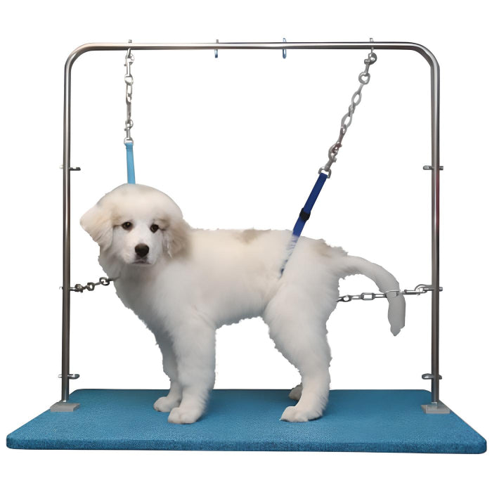 Hanvey LIPSystem — HappygroomerHQ