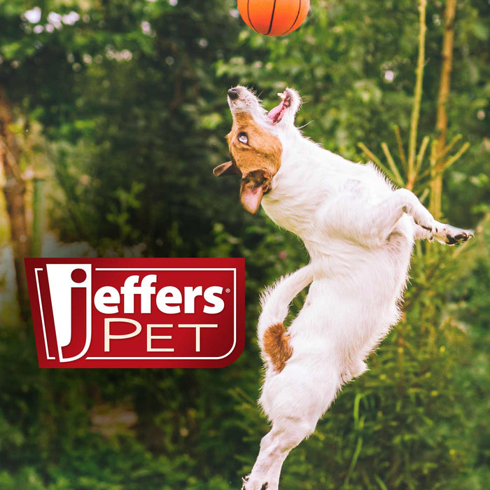 Jeffers Natural Flea & Tick Pennyroyal Dog Shampoo - Aids in Repelling Fleas, Ticks, Flies & Mosquitos - - Animal & Pet Supplies > Pet Grooming > Pet Shampoo & Conditioner by Jeffers