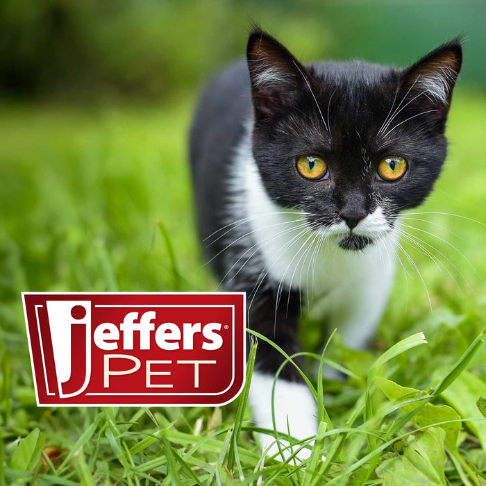 Jeffers Pet Nail File for Dog and Cat Nail Grooming, 7"L - - Animal & Pet Supplies > Pet Grooming > Pet Nail & Pad Care by Jeffers