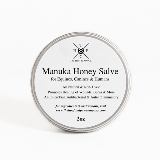 Manuka Honey Salve for Dogs, Horses & Humans - - by The Hoof & Paw Co.
