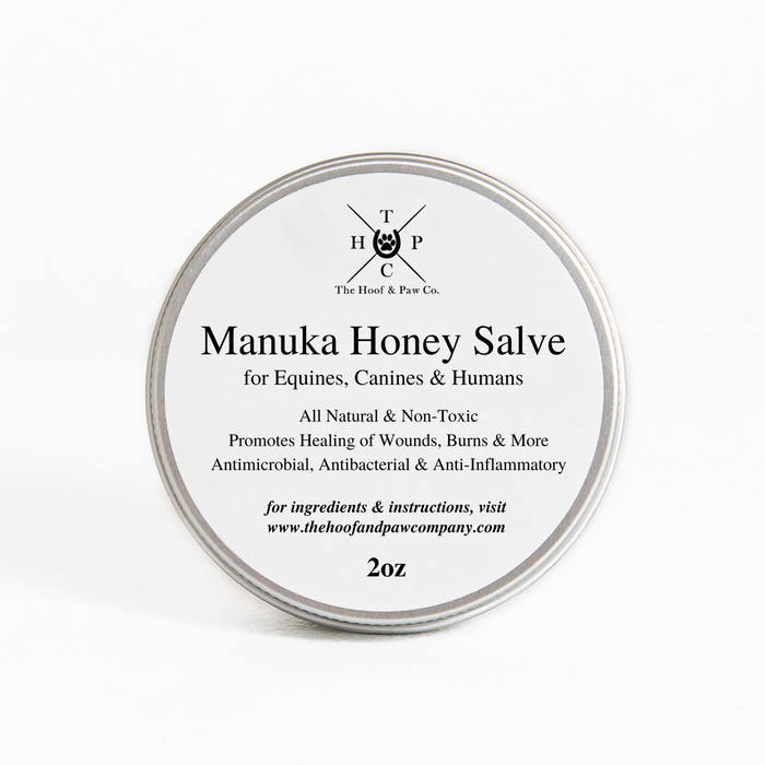 Manuka Honey Salve for Dogs, Horses & Humans - - by The Hoof & Paw Co.