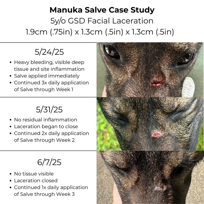 Manuka Honey Salve for Dogs, Horses & Humans - - by The Hoof & Paw Co.