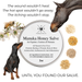 Manuka Honey Salve for Dogs, Horses & Humans - - by The Hoof & Paw Co.