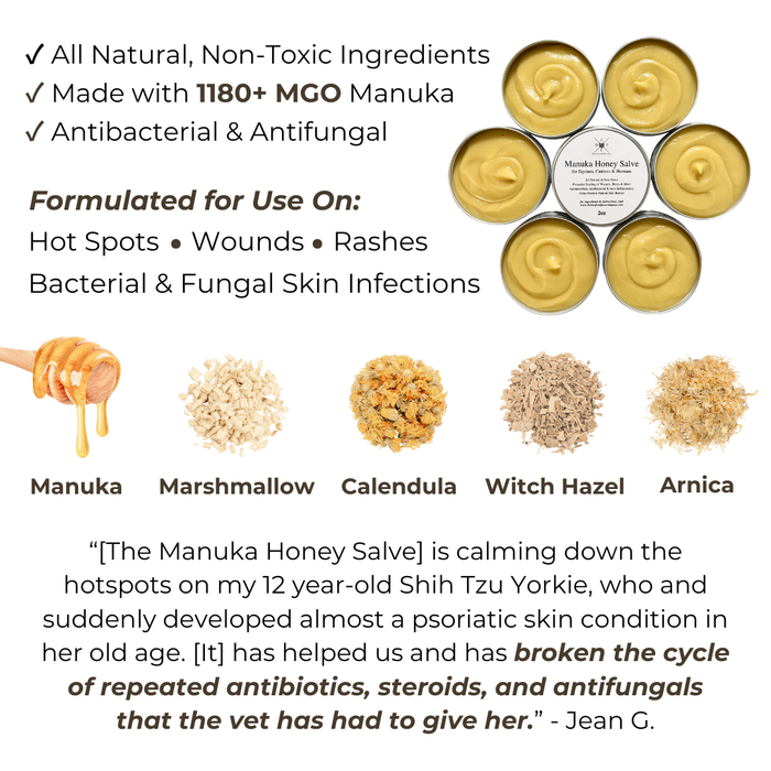 Manuka Honey Salve for Dogs, Horses & Humans - - by The Hoof & Paw Co.