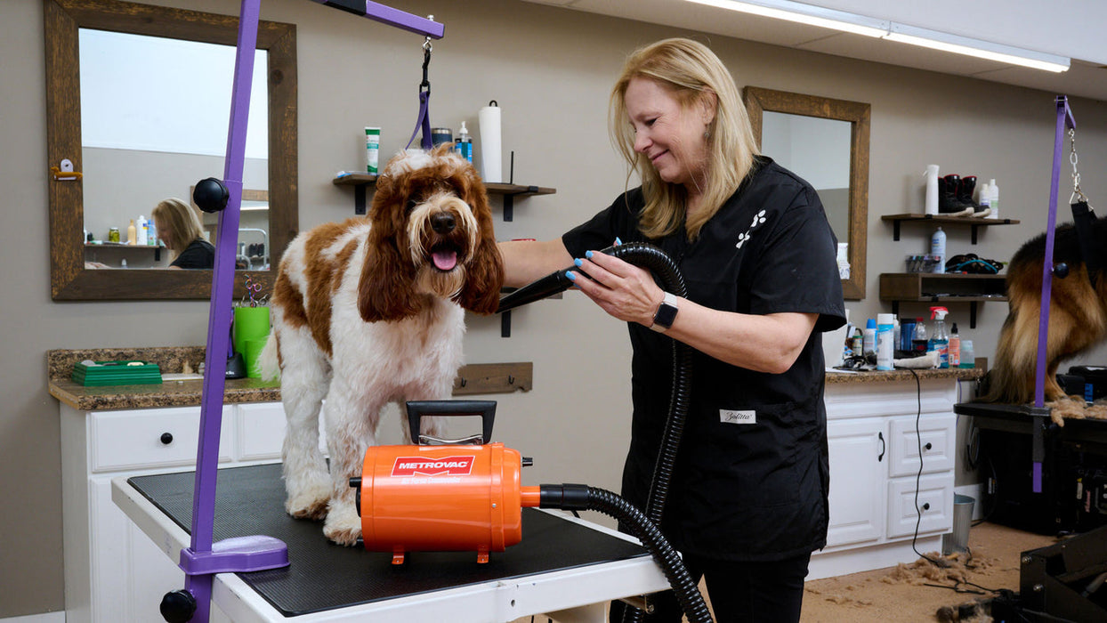 Metrovac Air Force® Commander® Variable Speed Pet Dryer - - Pet dryers by Metrovac