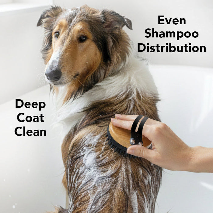 THE BATH BRUSH - - Animals & Pet Supplies by PRIDE+GROOM