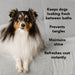 THE LEAVE IN - - by PRIDE+GROOM