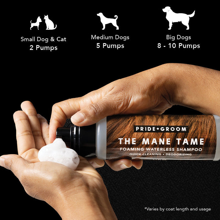 THE MANE TAME - - by PRIDE+GROOM