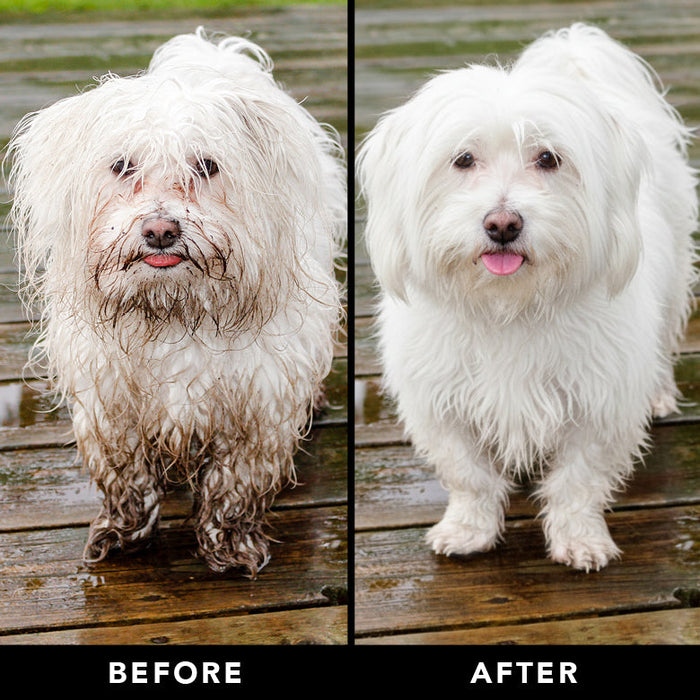 THE NON SHEDDER Dog Shampoo - - The No-Shed by PRIDE+GROOM