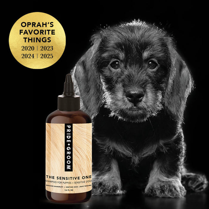 THE SENSITIVE ONE Dog Shampoo - - The Sensitive One by PRIDE+GROOM