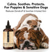 THE SENSITIVE ONE Dog Shampoo - - The Sensitive One by PRIDE+GROOM