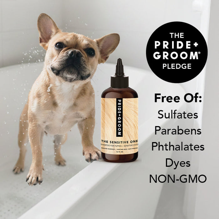 THE SENSITIVE ONE Dog Shampoo - - The Sensitive One by PRIDE+GROOM