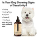 THE SENSITIVE ONE Dog Shampoo - - The Sensitive One by PRIDE+GROOM