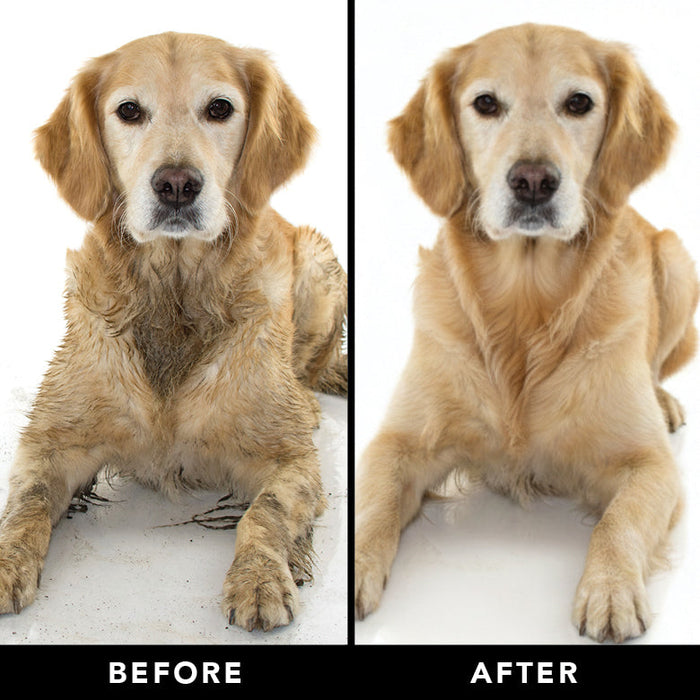 THE SENSITIVE ONE Dog Shampoo - - The Sensitive One by PRIDE+GROOM