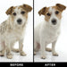 THE SHEDDER Dog Shampoo - - The Shedder by PRIDE+GROOM