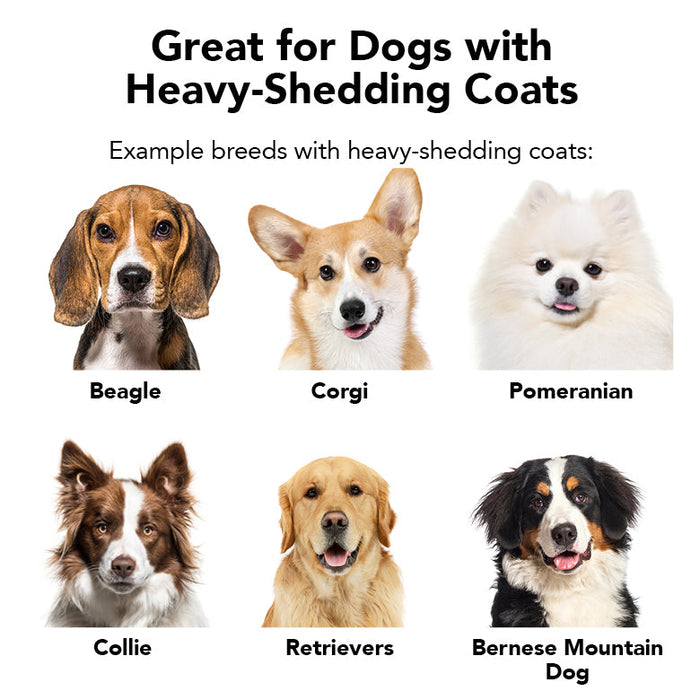 THE SHEDDER Dog Shampoo - - The Shedder by PRIDE+GROOM