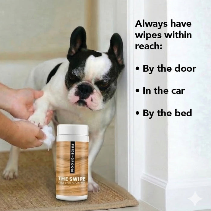 THE SWIPE - - Dog Supplies by PRIDE+GROOM