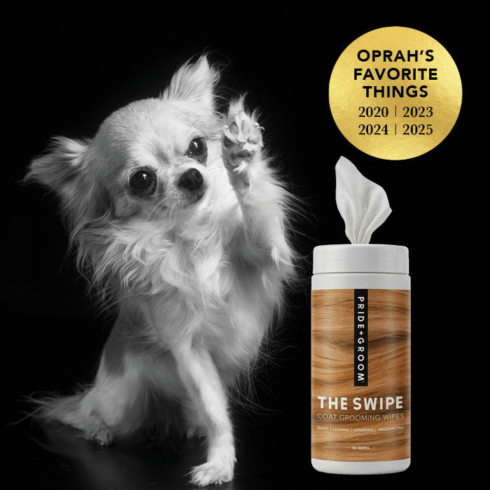 THE SWIPE - - Dog Supplies by PRIDE+GROOM