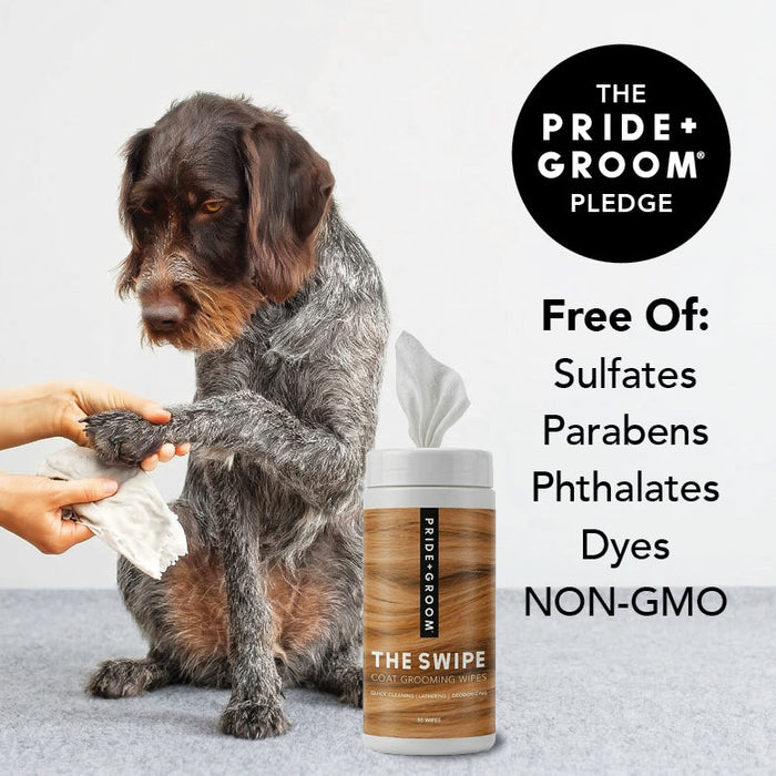 THE SWIPE - - Dog Supplies by PRIDE+GROOM