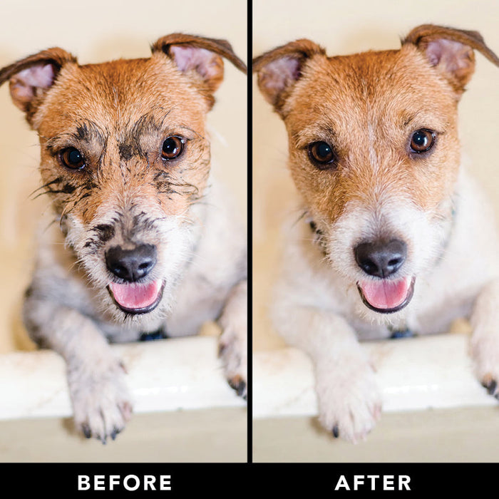 THE SWIPE - - Dog Supplies by PRIDE+GROOM