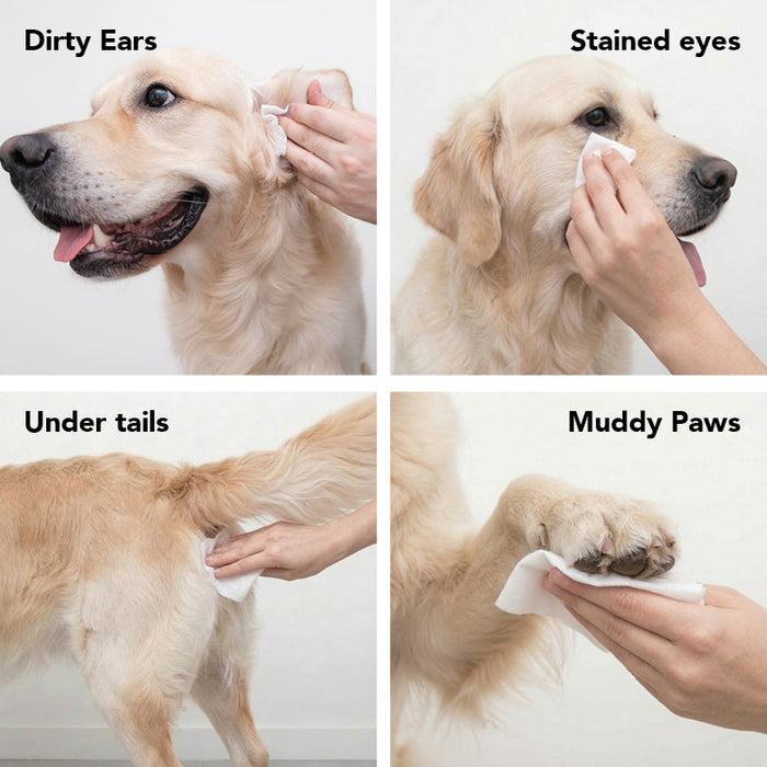 THE SWIPE - - Dog Supplies by PRIDE+GROOM