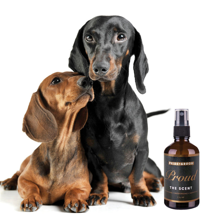PROUD Signature Scent - - The Scent by PRIDE+GROOM