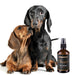 PROUD Signature Scent - - The Scent by PRIDE+GROOM