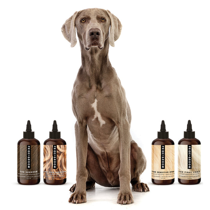 THE WASH SAMPLE PACK — Try PRIDE+GROOM's Best-Selling Dog Shampoos & Conditioner - - by PRIDE+GROOM